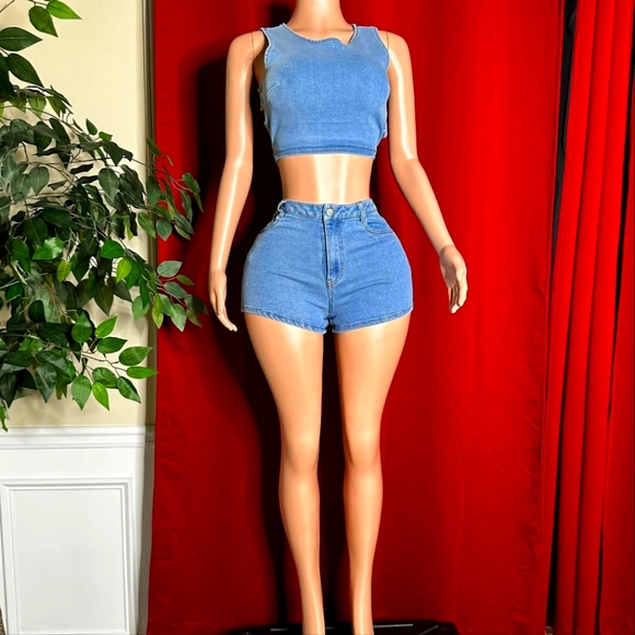 No Brand Pants - New (no tags) Super Cute Stretch Denim Shorts & Top (S, L)
